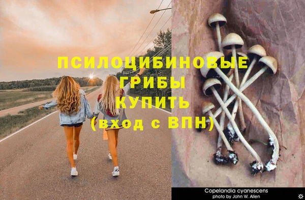 мяу мяу мука Михайловск