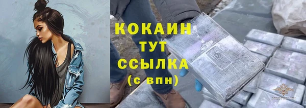 шишки Михайловка