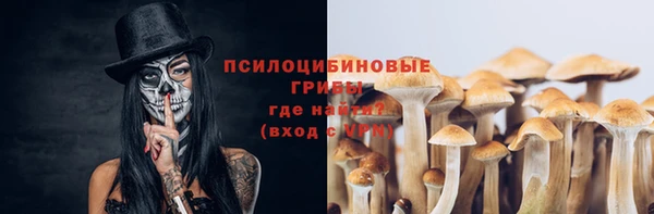 мяу мяу мука Михайловск