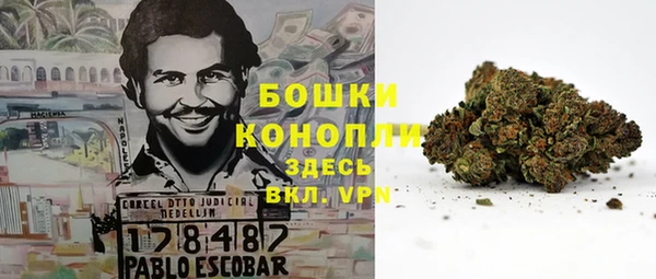 шишки Михайловка