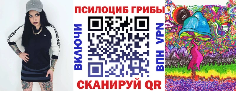 darknet официальный сайт  Зуевка  Псилоцибиновые грибы Psilocybe 